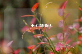 小红书刷粉丝