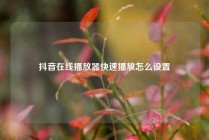 抖音在线播放器快速播放怎么设置