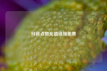 抖音点赞充值链接免费