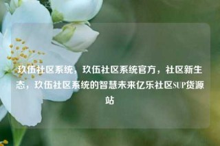 玖伍社区系统，玖伍社区系统官方，社区新生态，玖伍社区系统的智慧未来亿乐社区SUP货源站