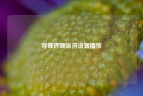 哔哩哔哩如何设置播放