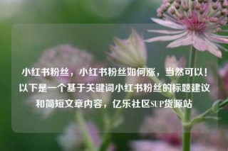 小红书粉丝，小红书粉丝如何涨，当然可以！以下是一个基于关键词小红书粉丝的标题建议和简短文章内容，亿乐社区SUP货源站