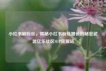 小红书刷粉丝，揭秘小红书粉丝增长的秘密武器亿乐社区SUP货源站