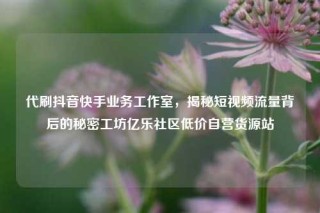 代刷抖音快手业务工作室，揭秘短视频流量背后的秘密工坊亿乐社区低价自营货源站