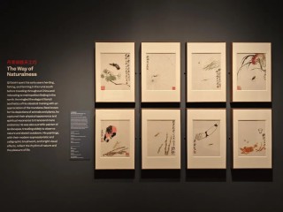 齐白石精品在波士顿展出，“白石画屋”呈现水墨挥洒