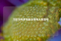 习近平向多哥新任领导人致贺电