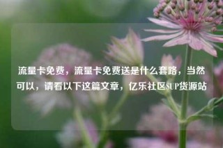 流量卡免费，流量卡免费送是什么套路，当然可以，请看以下这篇文章，亿乐社区SUP货源站