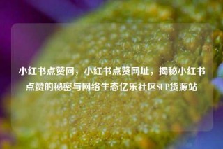 小红书点赞网，小红书点赞网址，揭秘小红书点赞的秘密与网络生态亿乐社区SUP货源站