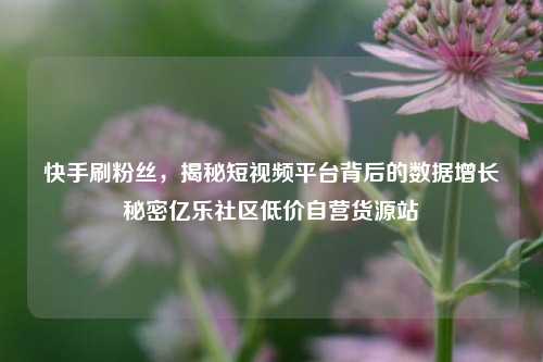 快手刷粉丝，揭秘短视频平台背后的数据增长秘密亿乐社区低价自营货源站  第1张
