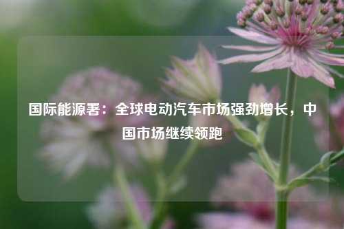国际能源署：全球电动汽车市场强劲增长，中国市场继续领跑  第1张