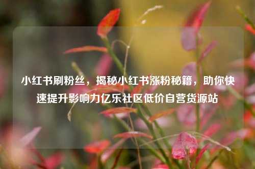 小红书刷粉丝，揭秘小红书涨粉秘籍，助你快速提升影响力亿乐社区低价自营货源站  第1张