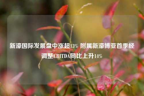新濠国际发展盘中涨超13% 附属新濠博亚首季经调整EBITDA同比上升14%  第1张