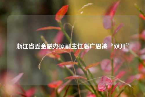 浙江省委金融办原副主任潘广恩被“双开”  第1张