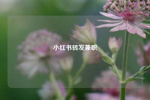 小红书转发兼职  第1张