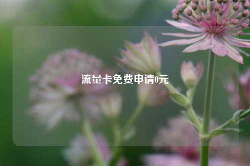 流量卡免费申请0元  第1张