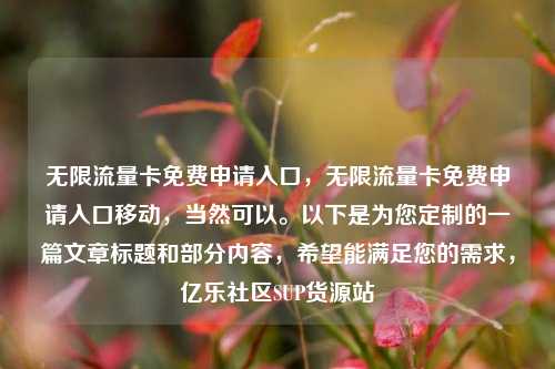 无限流量卡免费申请入口	，无限流量卡免费申请入口移动，当然可以。以下是为您定制的一篇文章标题和部分内容，希望能满足您的需求	，亿乐社区SUP货源站  第1张