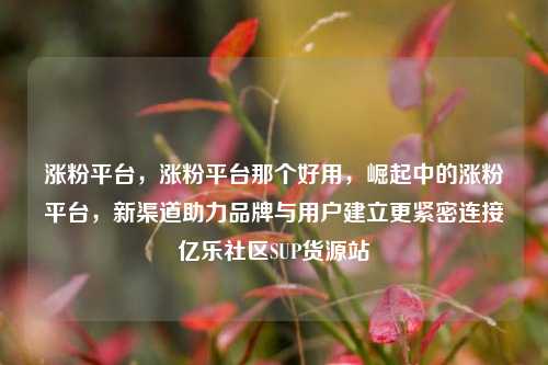 涨粉平台，涨粉平台那个好用	，崛起中的涨粉平台，新渠道助力品牌与用户建立更紧密连接亿乐社区SUP货源站  第1张