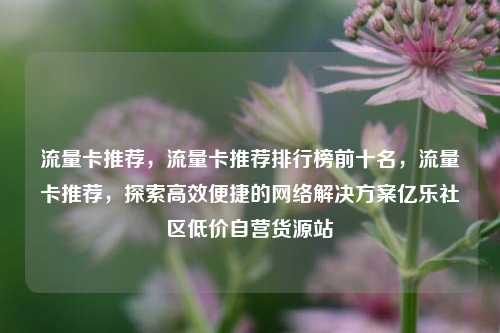 流量卡推荐	，流量卡推荐排行榜前十名，流量卡推荐，探索高效便捷的网络解决方案亿乐社区低价自营货源站  第1张