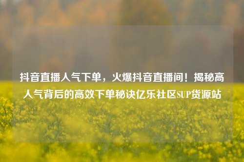 抖音直播人气下单，火爆抖音直播间！揭秘高人气背后的高效下单秘诀亿乐社区SUP货源站  第1张