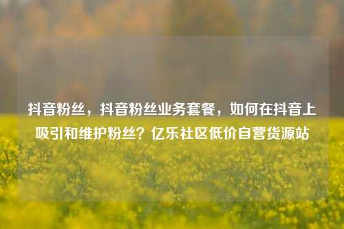 抖音粉丝	，抖音粉丝业务套餐，如何在抖音上吸引和维护粉丝？亿乐社区低价自营货源站  第1张