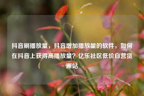 抖音刷播放量，抖音增加播放量的软件	，如何在抖音上获得高播放量？亿乐社区低价自营货源站  第1张