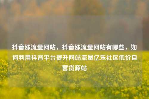 抖音涨流量网站，抖音涨流量网站有哪些	，如何利用抖音平台提升网站流量亿乐社区低价自营货源站  第1张