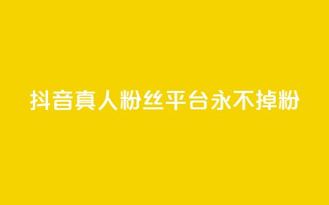 抖音真人粉丝平台 永不掉粉,点赞自助平台有哪些 - qq空间访客量购买网站 24小时全网最低价下单平台  第1张