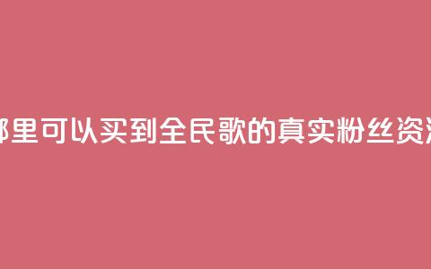 哪里可以买到全民K歌的真实粉丝资源  第1张