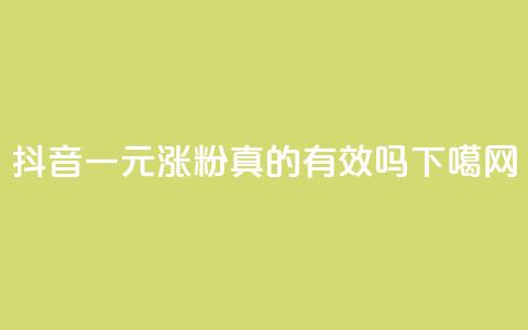 抖音一元涨粉真的有效吗？  第1张