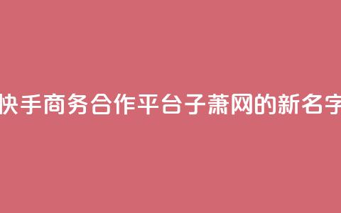 快手商务合作平台子萧网的新名字  第1张