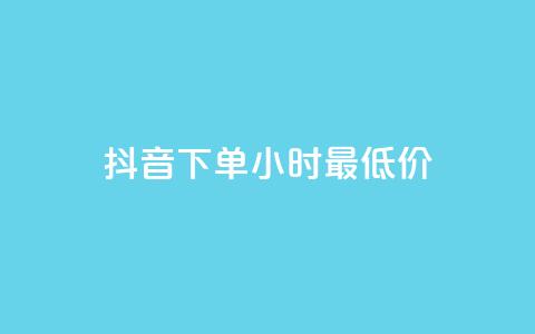 抖音下单24小时最低价,vip会员货源批发网站 - 24小时卡盟自助平台 王者人气自助  第1张