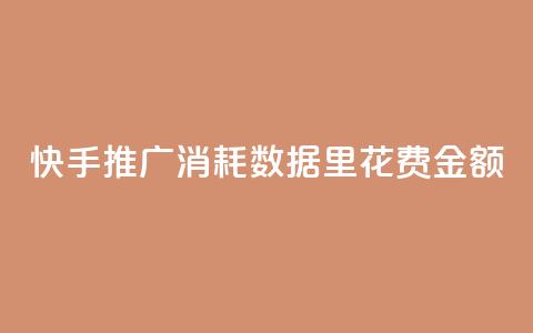 快手推广消耗数据里花费金额,抖音一元涨粉1000暗号 - 快手点赞赞在线下单秒 免费刷qq浏览量的网站  第1张