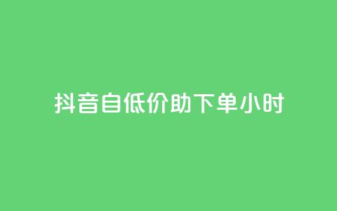 抖音自低价助下单24小时,抖音自动评论软件手机版 - 卡盟平台qq业务qq音乐会员 抖音怎样快速吸粉  第1张