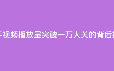 快手视频播放量突破一万大关的背后揭秘  第1张