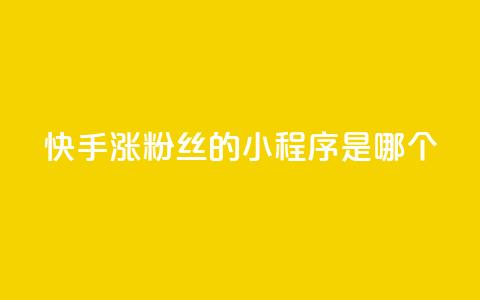 快手涨粉丝的小程序是哪个,彩虹云商城怎么自动补充卡密 - ks一键取赞下载 低价购买QQ会员的平台  第1张