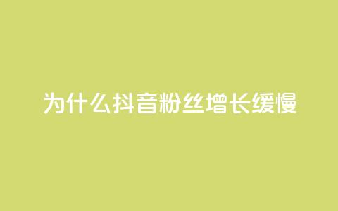 为什么抖音粉丝增长缓慢？  第1张