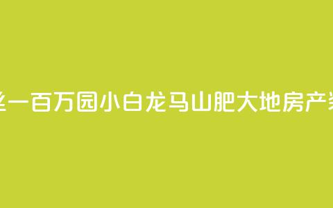 快手粉丝一百万0.01园小白龙马山肥大地房产装修网站,抖音业务下单24小时秒到账 - 快手一元100攒链接 q钻卡盟  第1张
