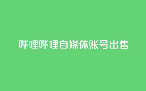 哔哩哔哩自媒体账号出售,24小时自助下单超便宜 - 一块钱买赞的软件 一块钱500赞快手秒到账  第1张