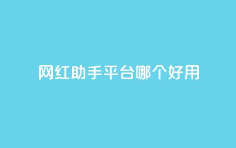 网红助手平台哪个好用,快手全网最低价下单平台 - dy免费24小时下单网站最新版 抖音业务代理平台  第1张