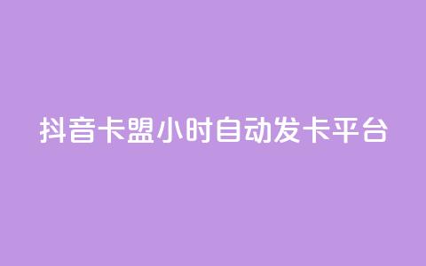 抖音卡盟24小时自动发卡平台,颜夕卡盟 - 全网辅助货源站 快手点赞评论软件微信支付  第1张