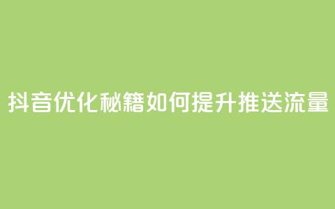 抖音优化秘籍：如何提升推送流量  第1张