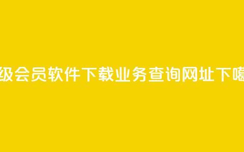 qq超级会员软件下载 - qq业务查询网址  第1张