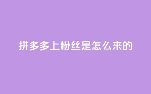 拼多多上粉丝是怎么来的,免费点赞超级便宜网站 - 抖音怎么清理虚假粉丝 qq赞在线自助下单网站  第1张