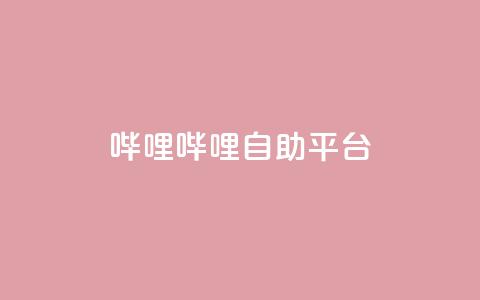 哔哩哔哩自助平台,ks自助下单服务平台 - 抖音业务下单24小时平台 快手充值入口  第1张