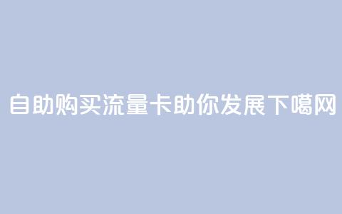 自助购买流量卡助你发展  第1张