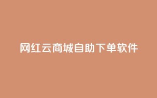 网红云商城自助下单软件,24小时自助下单全网最低价 - 拼多多无限助力app - 拼多多抽奖大转盘