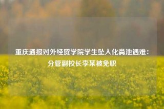重庆通报对外经贸学院学生坠入化粪池遇难：分管副校长李某被免职