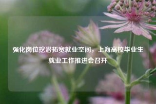 强化岗位挖潜拓宽就业空间，上海高校毕业生就业工作推进会召开