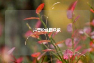 抖音粉丝团级数