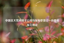 中国北大荒间接子公司与张和李签订一份委托加工协议